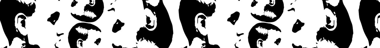 artist cover