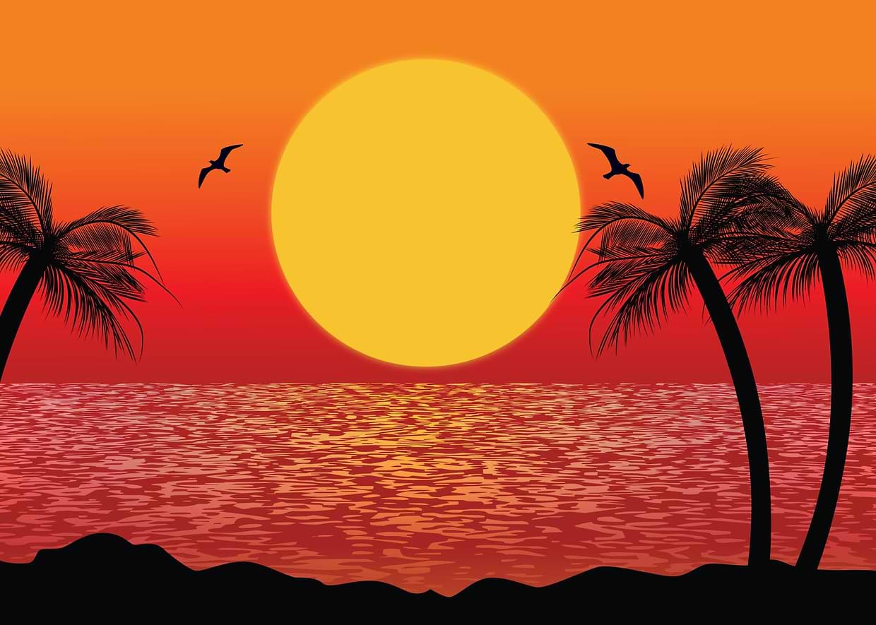 artist cover