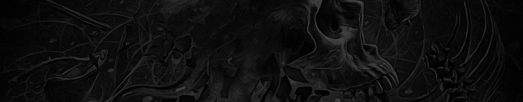 artist cover
