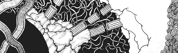 artist cover