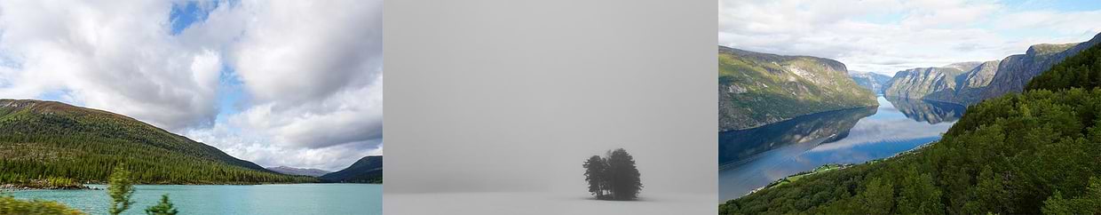 artist cover