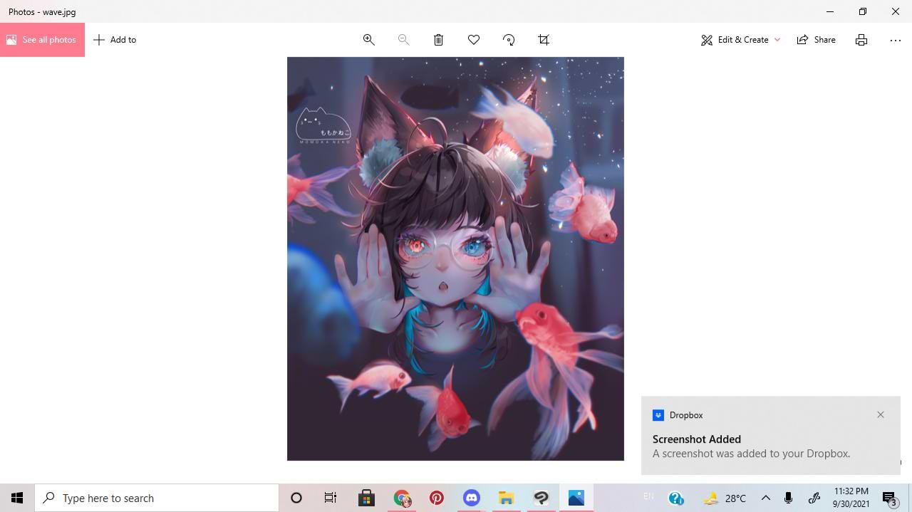 artist cover