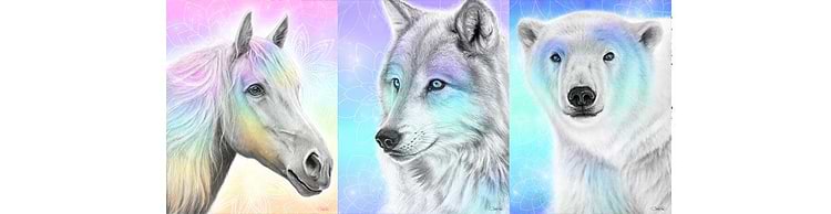 artist cover