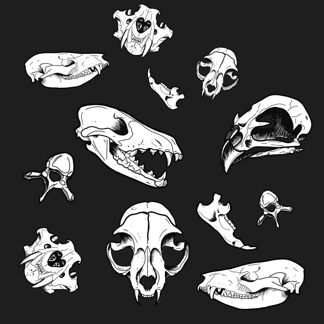 artist cover