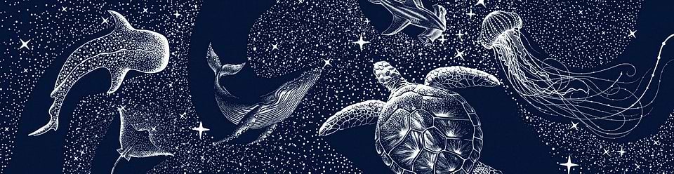 artist cover