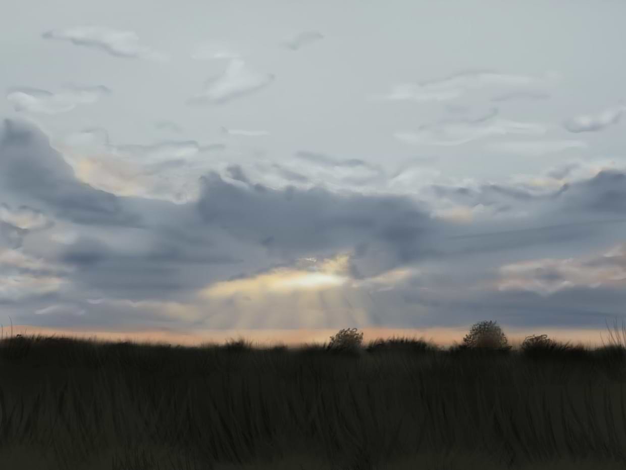 artist cover