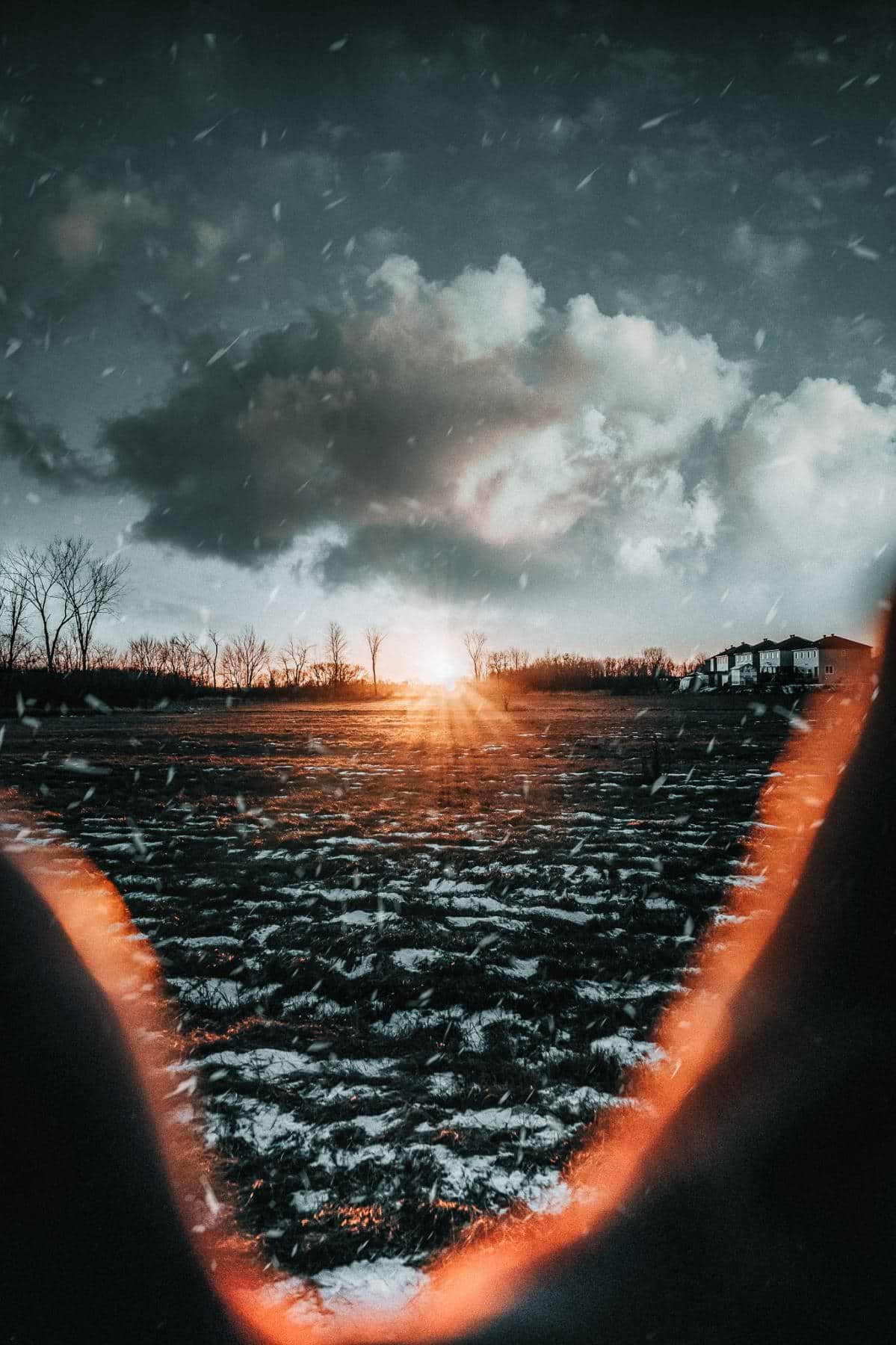 artist cover