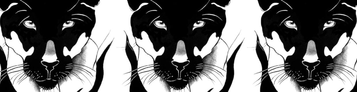 artist cover