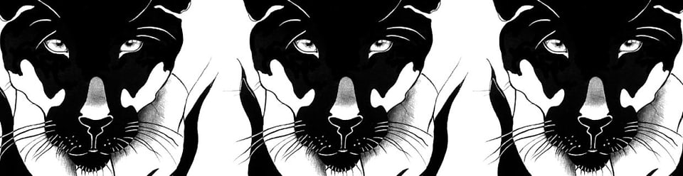 artist cover
