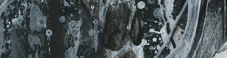 artist cover