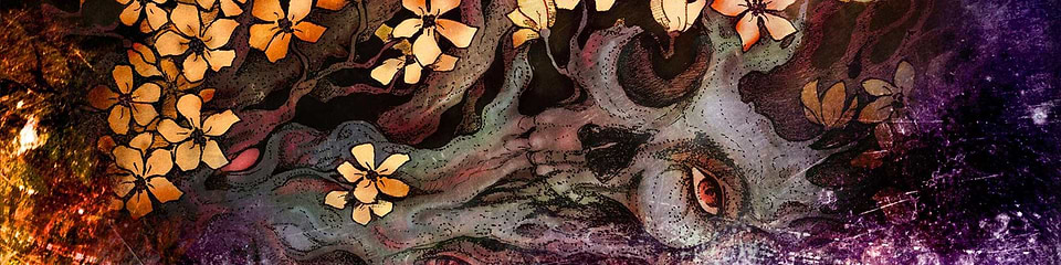 artist cover