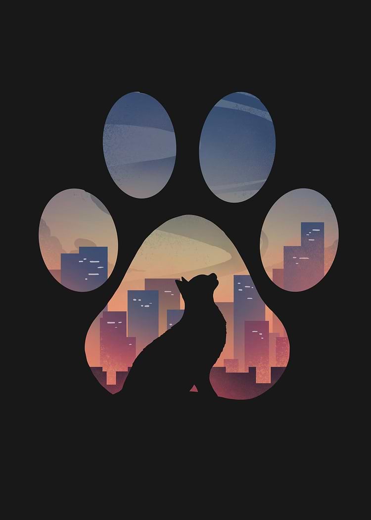 artist cover