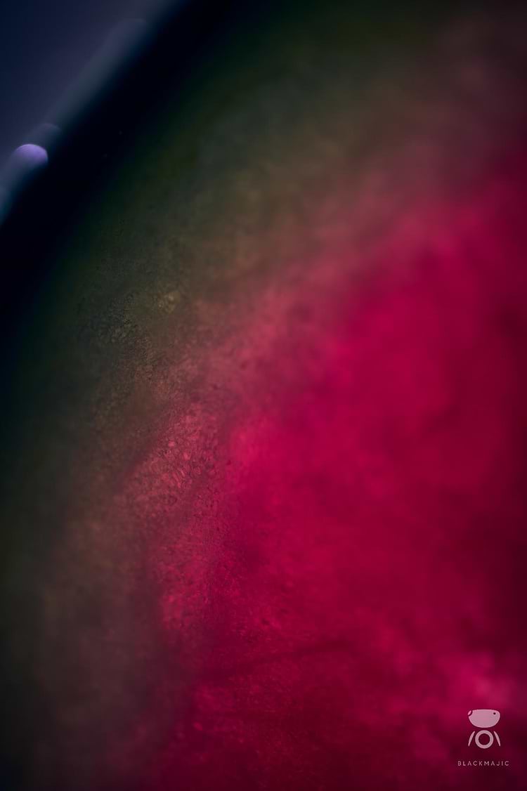 artist cover