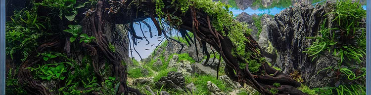 artist cover