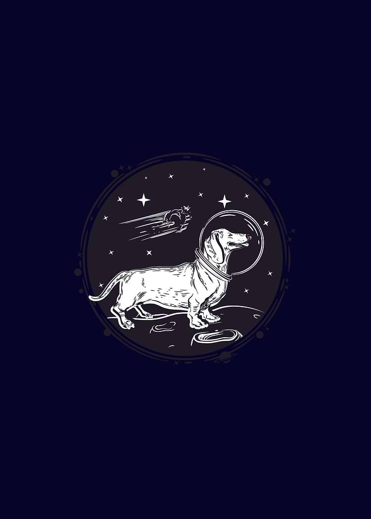 artist cover