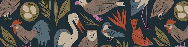 artist cover
