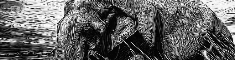 artist cover