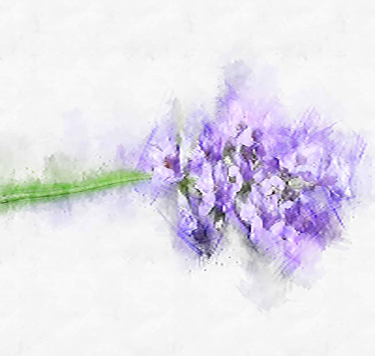 artist cover