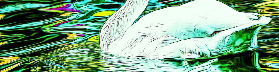 artist cover