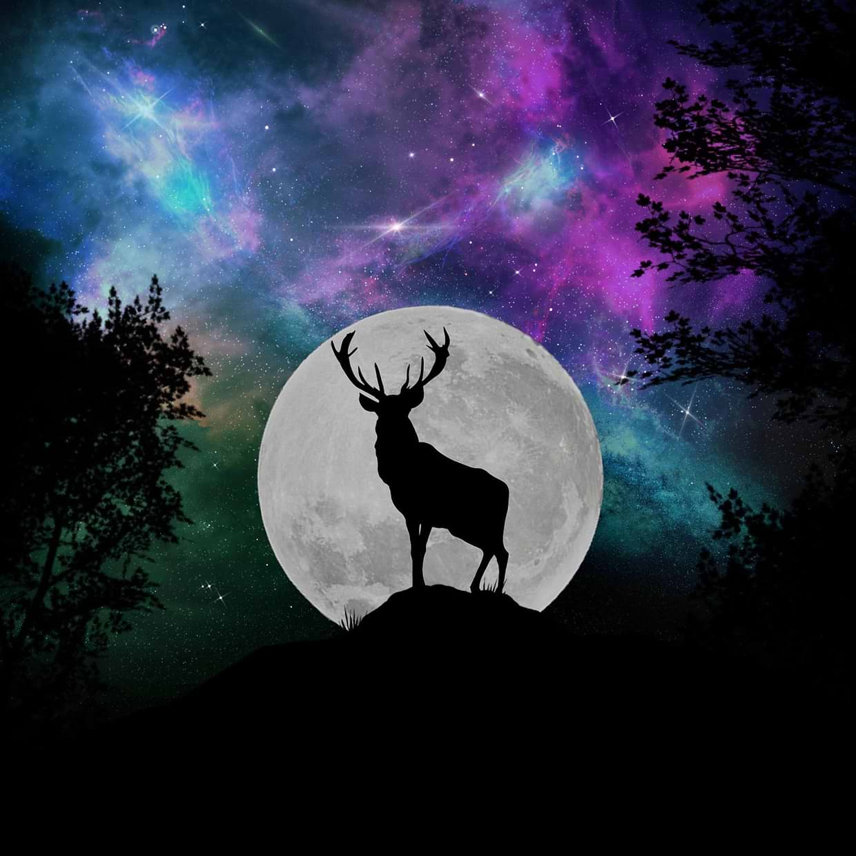 artist cover