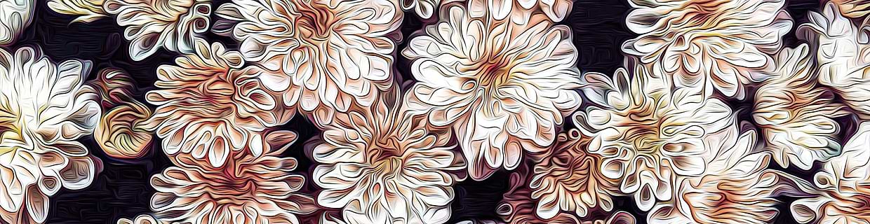 artist cover