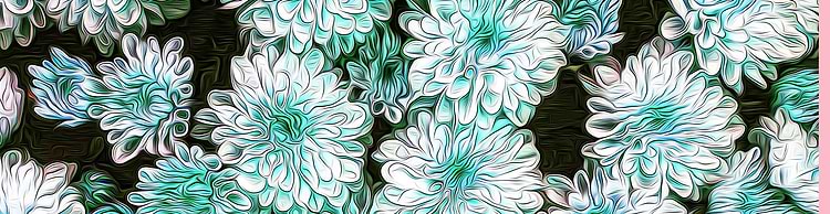 artist cover