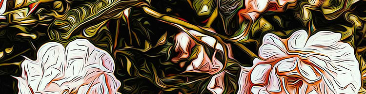 artist cover