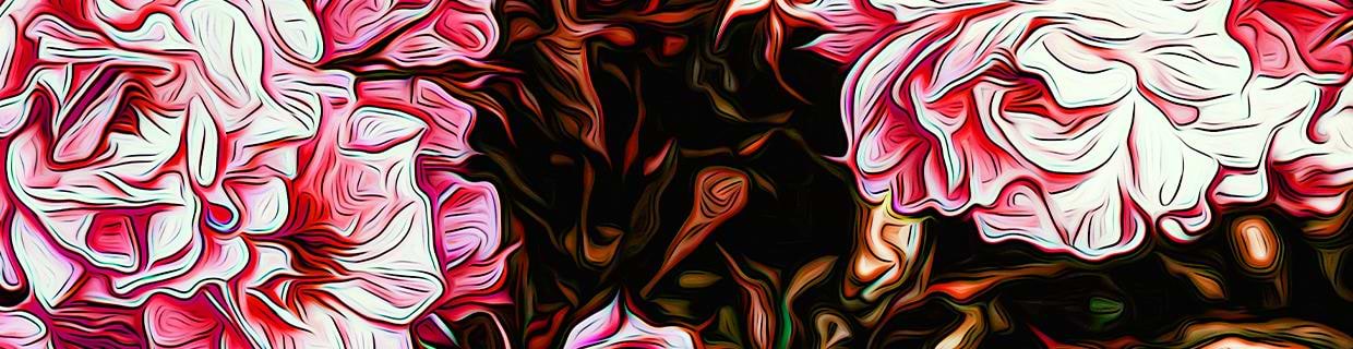 artist cover