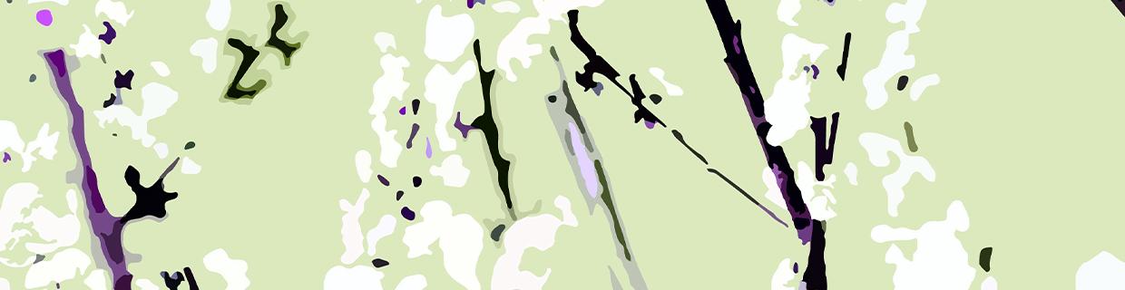 artist cover