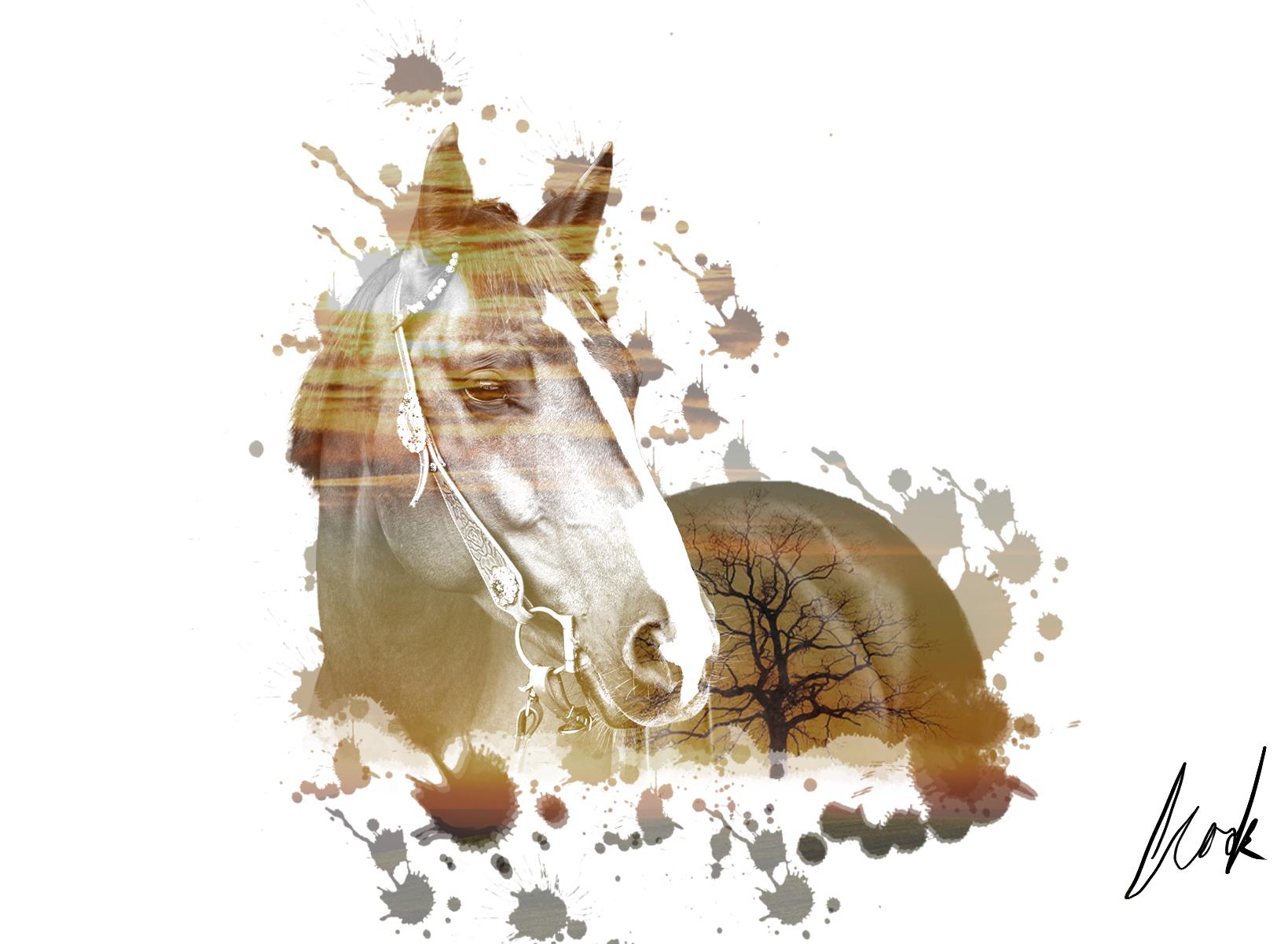artist cover