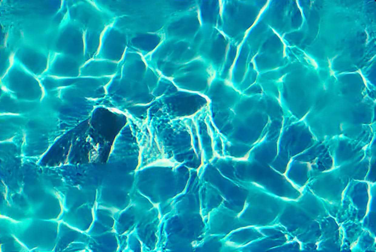 artist cover
