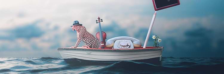 artist cover