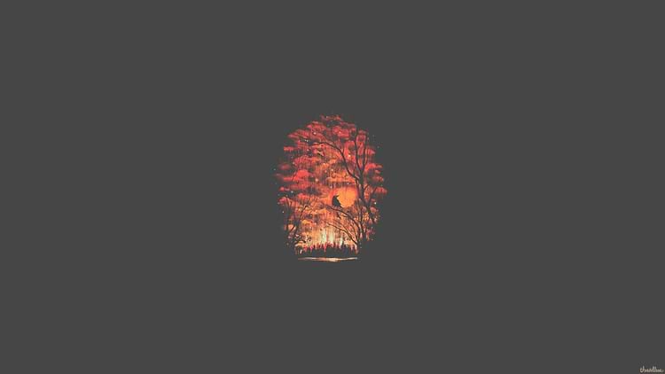 artist cover