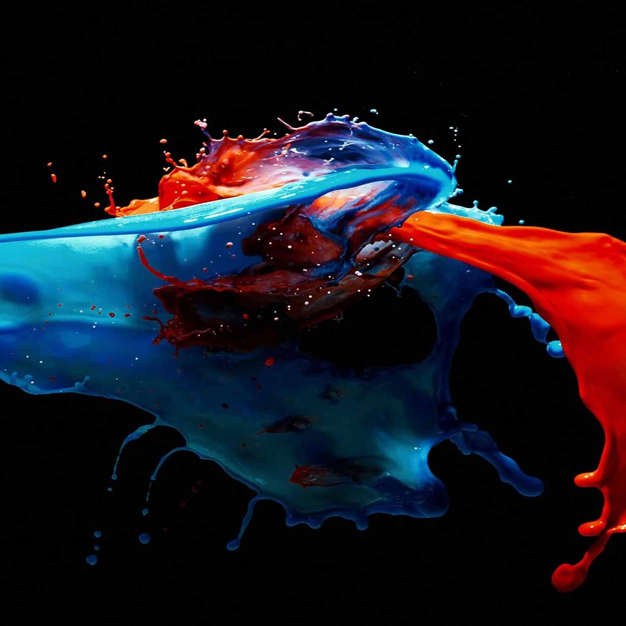 artist cover