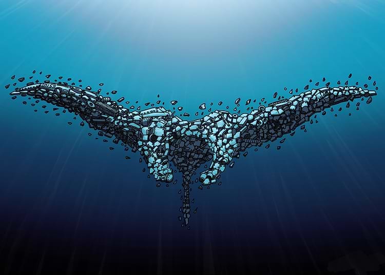 artist cover