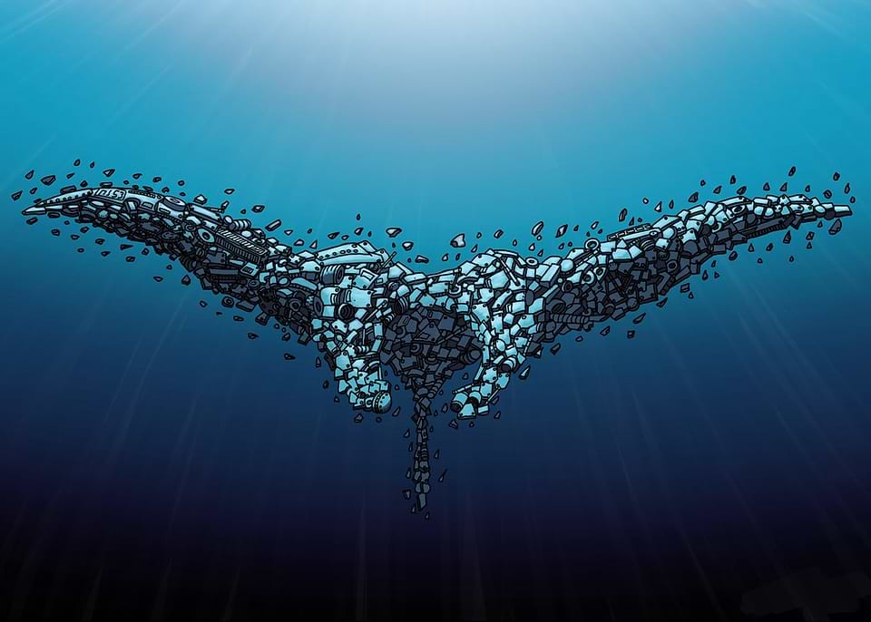 artist cover