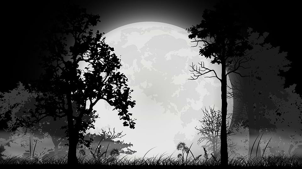 artist cover