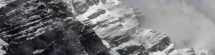 artist cover