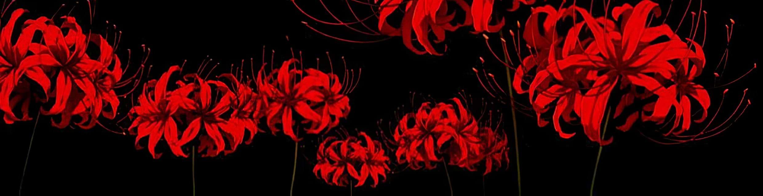 artist cover