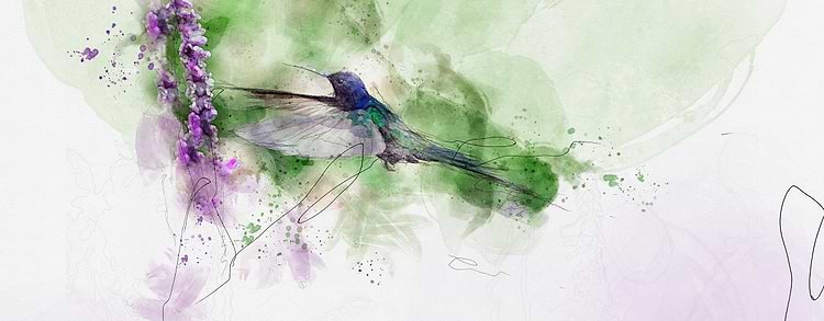 artist cover