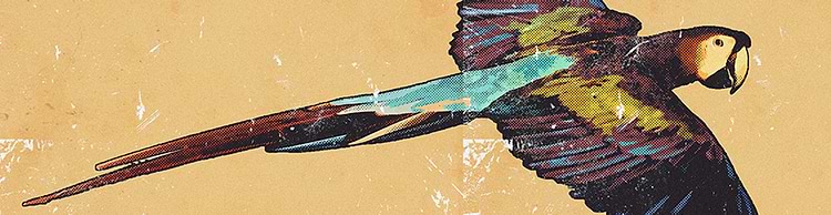 artist cover
