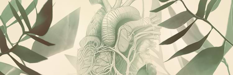 artist cover