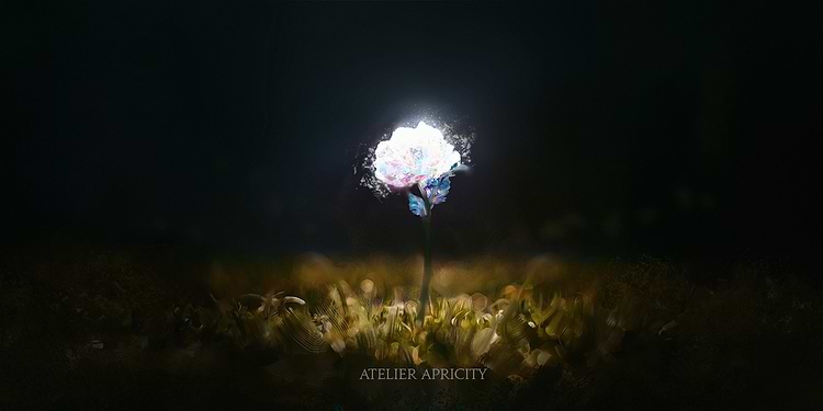 artist cover