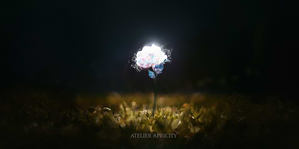 artist cover