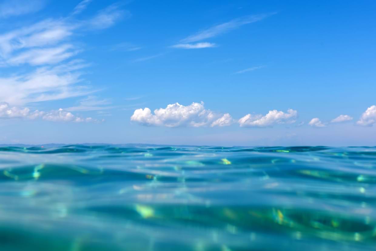 artist cover