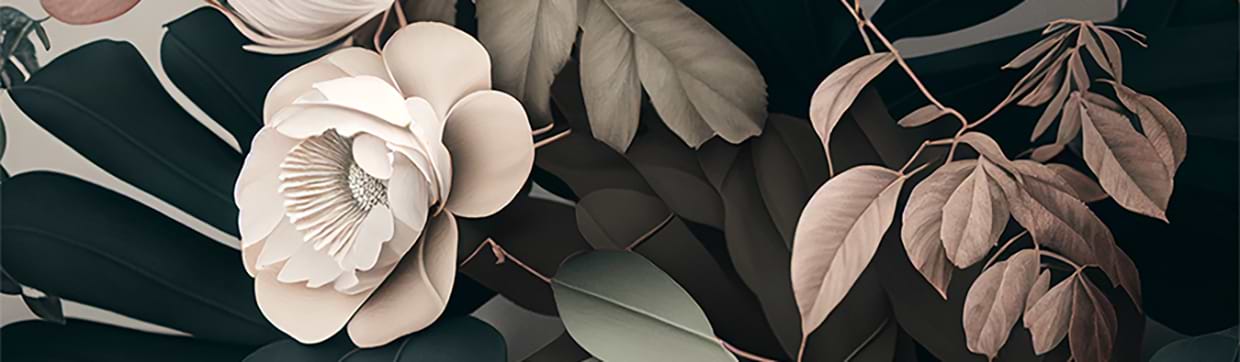 artist cover