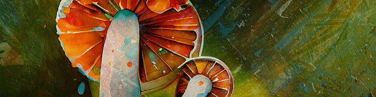 artist cover