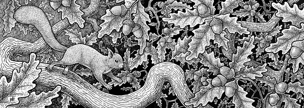 artist cover