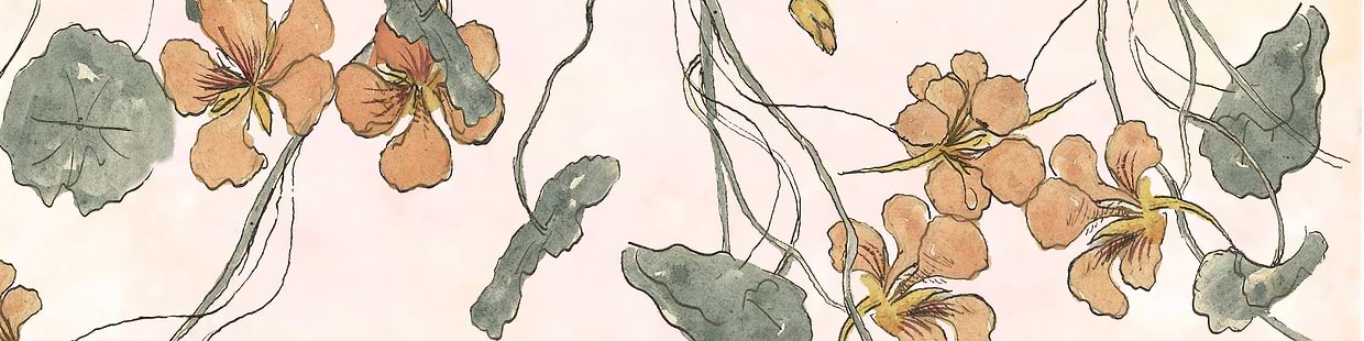 artist cover