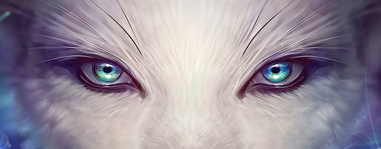 artist cover
